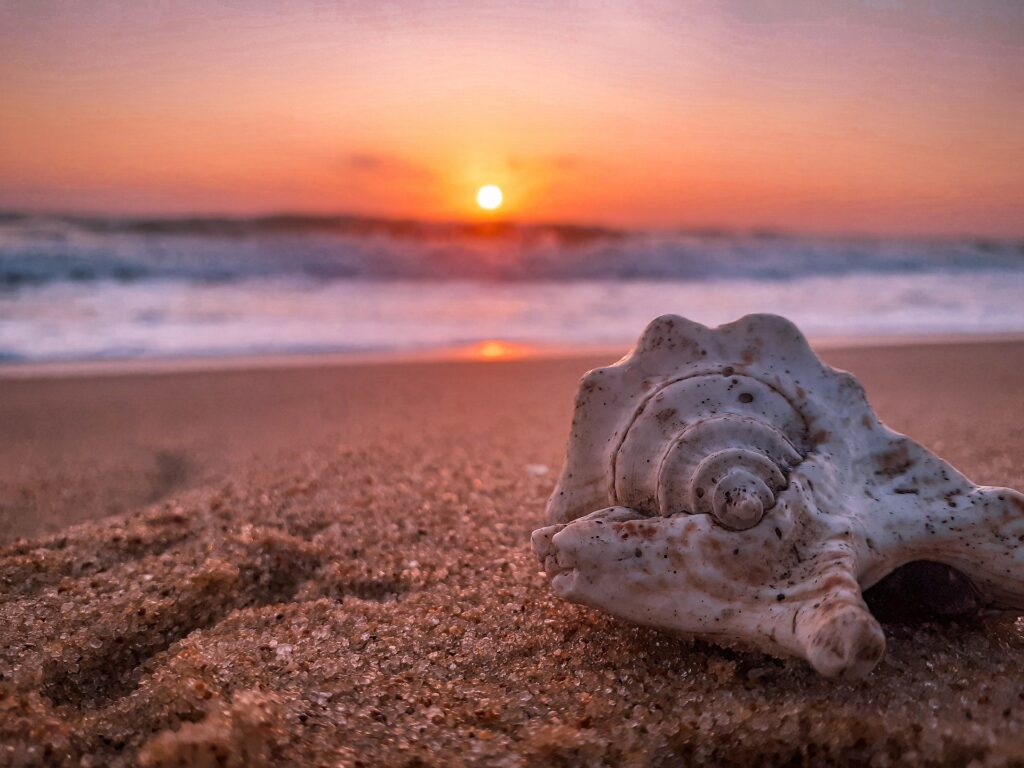 夕日と砂浜と貝殻