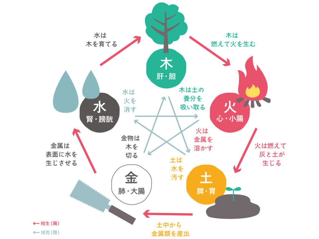 五行相関図に見る観葉植物の位置