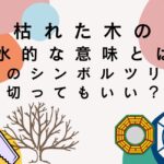 枯れた木の風水的な意味とは