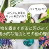 観葉植物置きすぎるとだめ