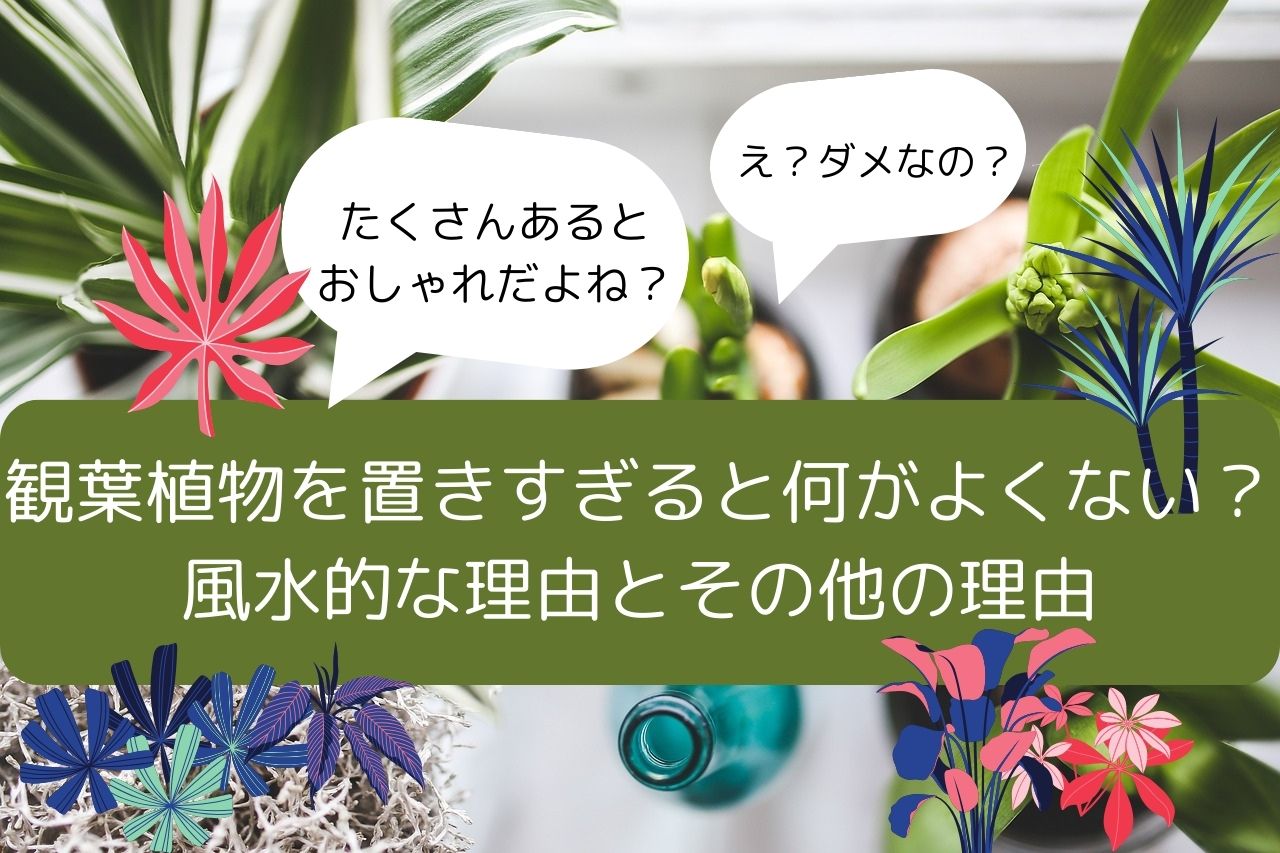 観葉植物置きすぎるとだめ