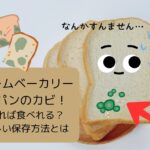 ホームベーカリーのパンにカビ