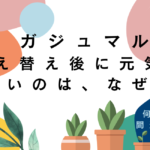 ガジュマルの植え替え後元気がない