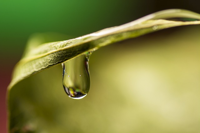 雨の日の置き場所は？