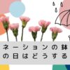 カーネーションの鉢植え雨の日は