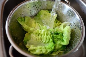 葉物野菜はよく洗おう