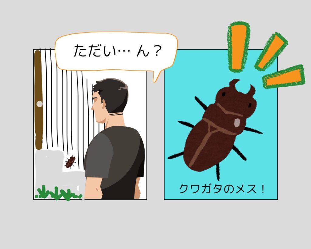 カブトムシの置き場所は風水関係ある？