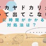 オカヤドカリが潜って出てこない？