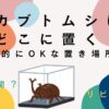 カブトムシの置き場所を風水的に考える