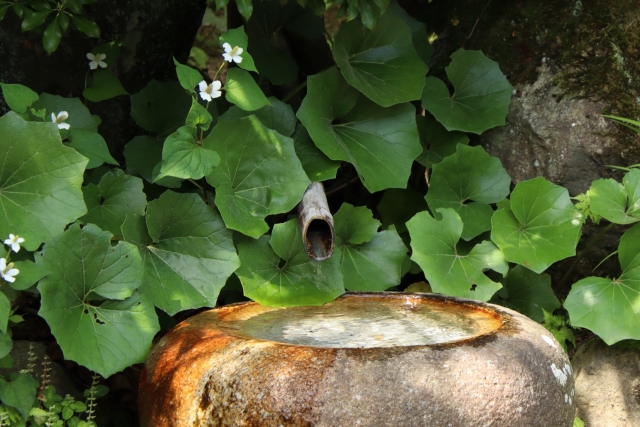 庭の運気アップには水