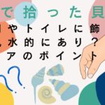 海で拾った貝殻を風水的に飾るのはあり？