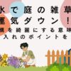 風水で庭の雑草は運気ダウン！