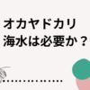 オカヤドカリに海水は必要か