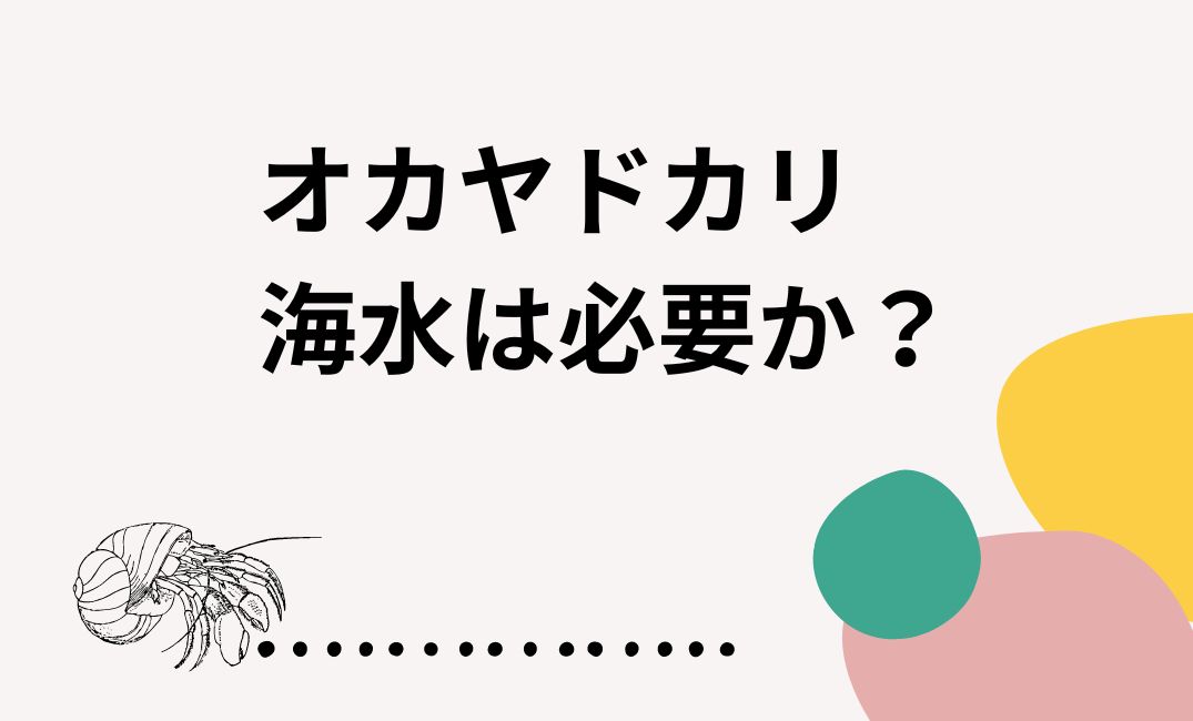 オカヤドカリに海水は必要か