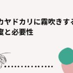 オカヤドカリの霧吹きの頻度は