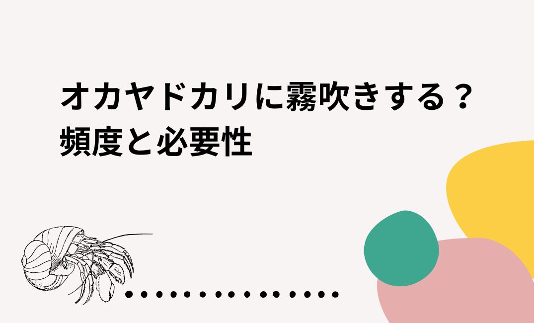 オカヤドカリの霧吹きの頻度は