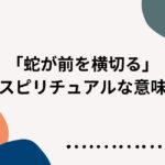 蛇が前を横切るスピリチュアルな意味