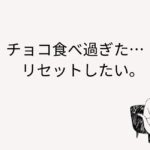 チョコ食べ過ぎた　リセット