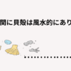 玄関に貝殻、風水では？
