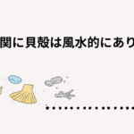 玄関に貝殻、風水では？