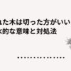 枯れた木は切った方がいい？風水的な意味