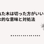 枯れた木は切った方がいい？風水的な意味