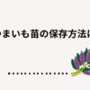 さつまいも苗の保存方法は？